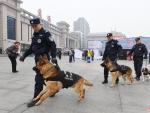 警犬保春运