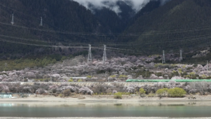 拉萨至林芝铁路开通运营5周年